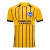 Camiseta de fútbol Brighton Hove Albion Segunda Equipación 2024-25 - Hombre